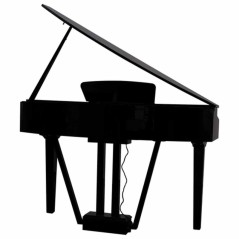 ECHORD Gp-10 Bk - Pianoforte digitale CODINO compatto nero