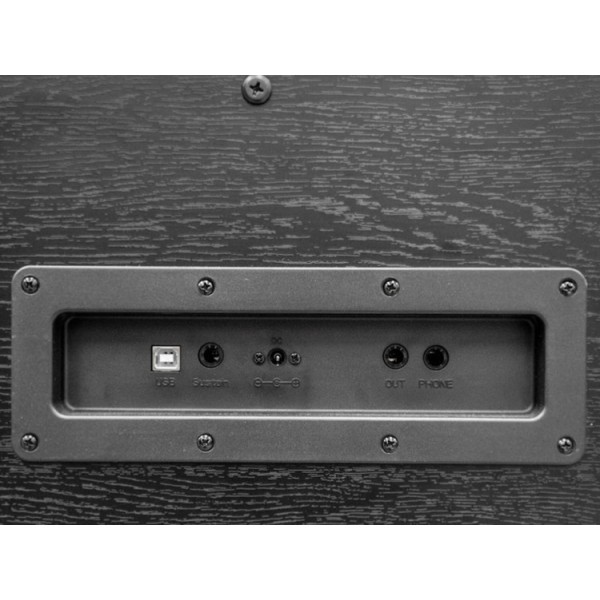 ECHORD Dpx100 Satin Black - Pianoforte digitale 88 tasti pesati nero satinato