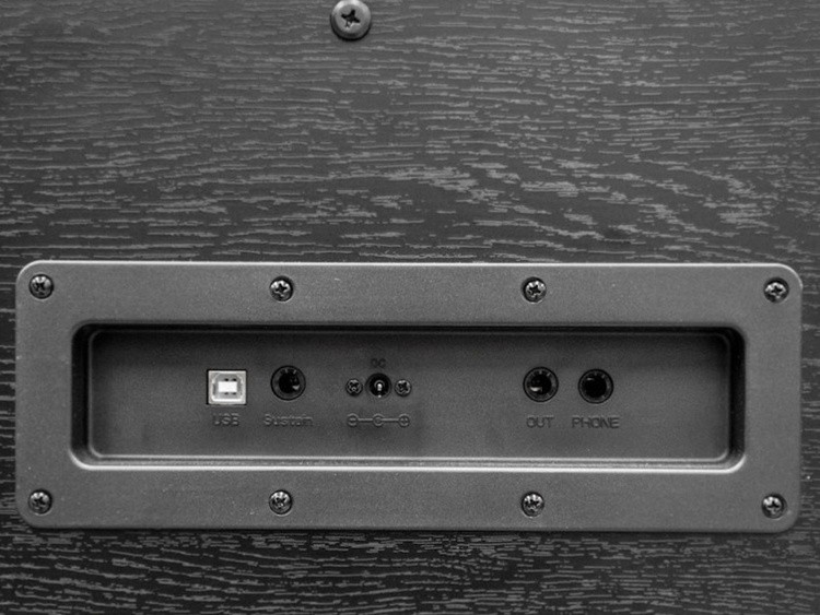 ECHORD Dpx100 Satin Black - Pianoforte digitale 88 tasti pesati nero satinato