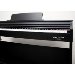 ECHORD Dpx100 Satin Black - Pianoforte digitale 88 tasti pesati nero satinato