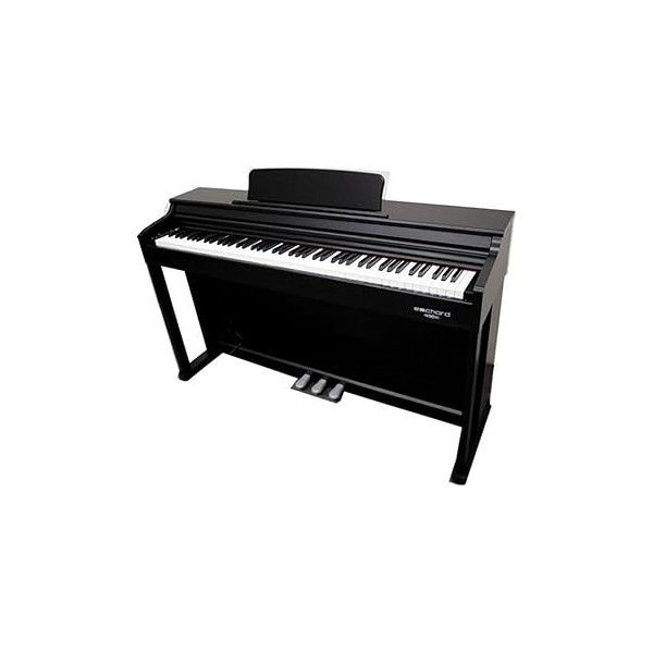 ECHORD Dpx100 Satin Black - Pianoforte digitale 88 tasti pesati nero satinato