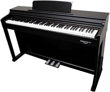 ECHORD Dpx100 Satin Black - Pianoforte digitale 88 tasti pesati nero satinato