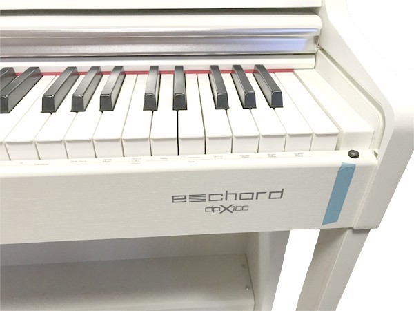 ECHORD Dpx100 White - Pianoforte digitale 88 tasti pesati bianco