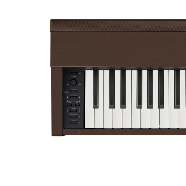 CASIO PX-870 BN Privia - Pianoforte Digitale