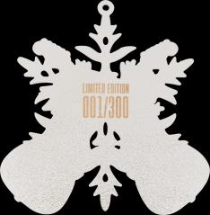 Fender Fender® 2025 Ornament