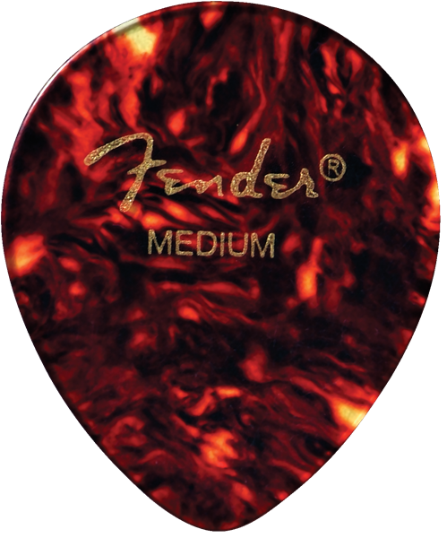 Fender 347 Shape, Tortoise Shell, Medium (12)