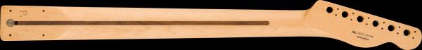 Fender Player Series Telecaster® LH Neck, 22 Medium Jumbo Frets, Pau Ferro, 9.5", Modern "C"