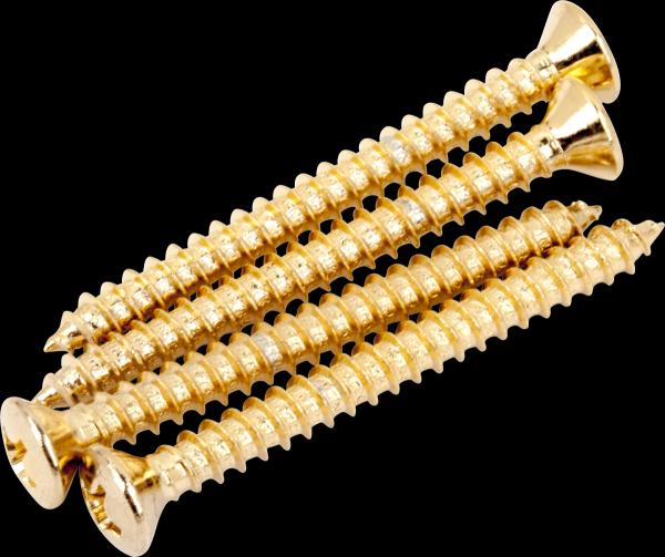 Fender Neck Mounting Screws, Gold, (4)