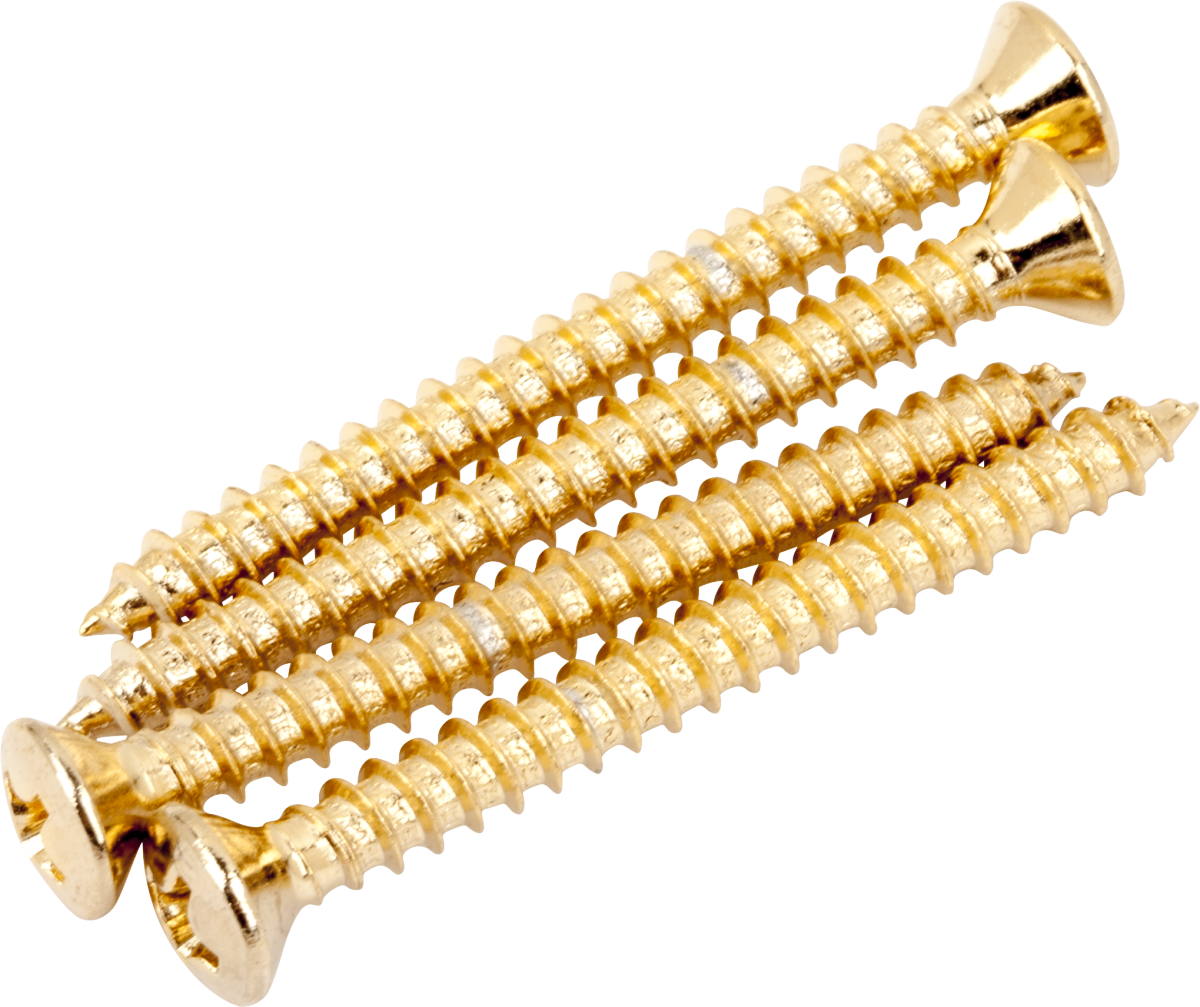 Fender Neck Mounting Screws, Gold, (4)