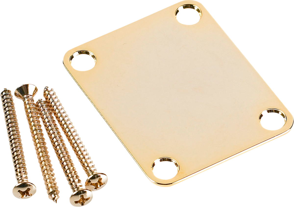 Fender 4-Bolt Vintage Neck Plate "Plain" (No Serial Number or Logo) (Gold)