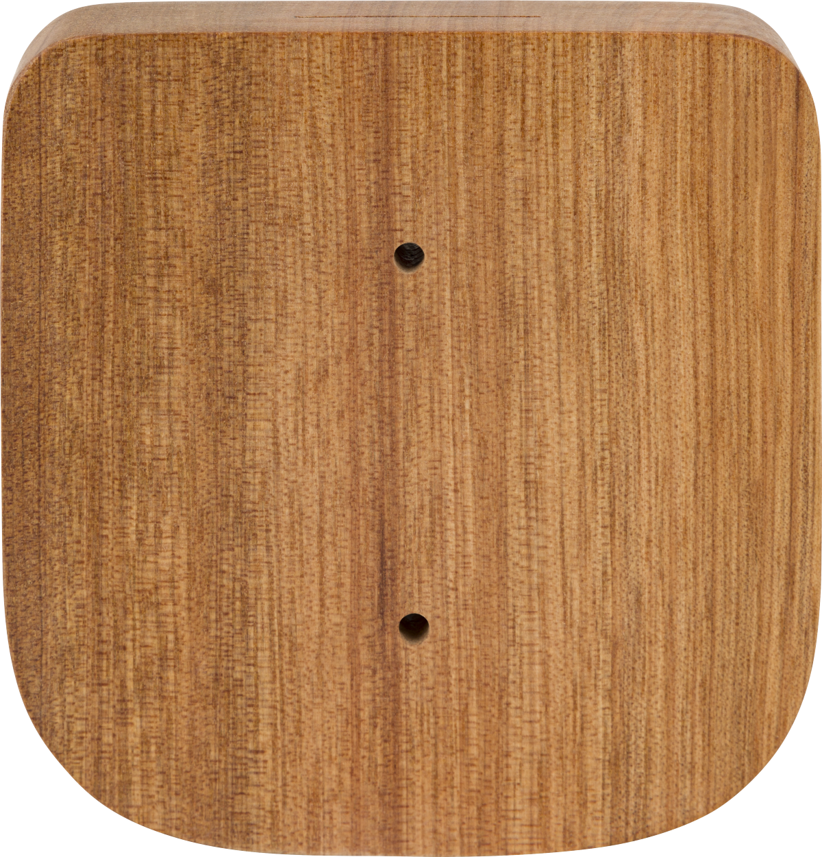 Fender Level-Up™ Strat® Wall Hanger