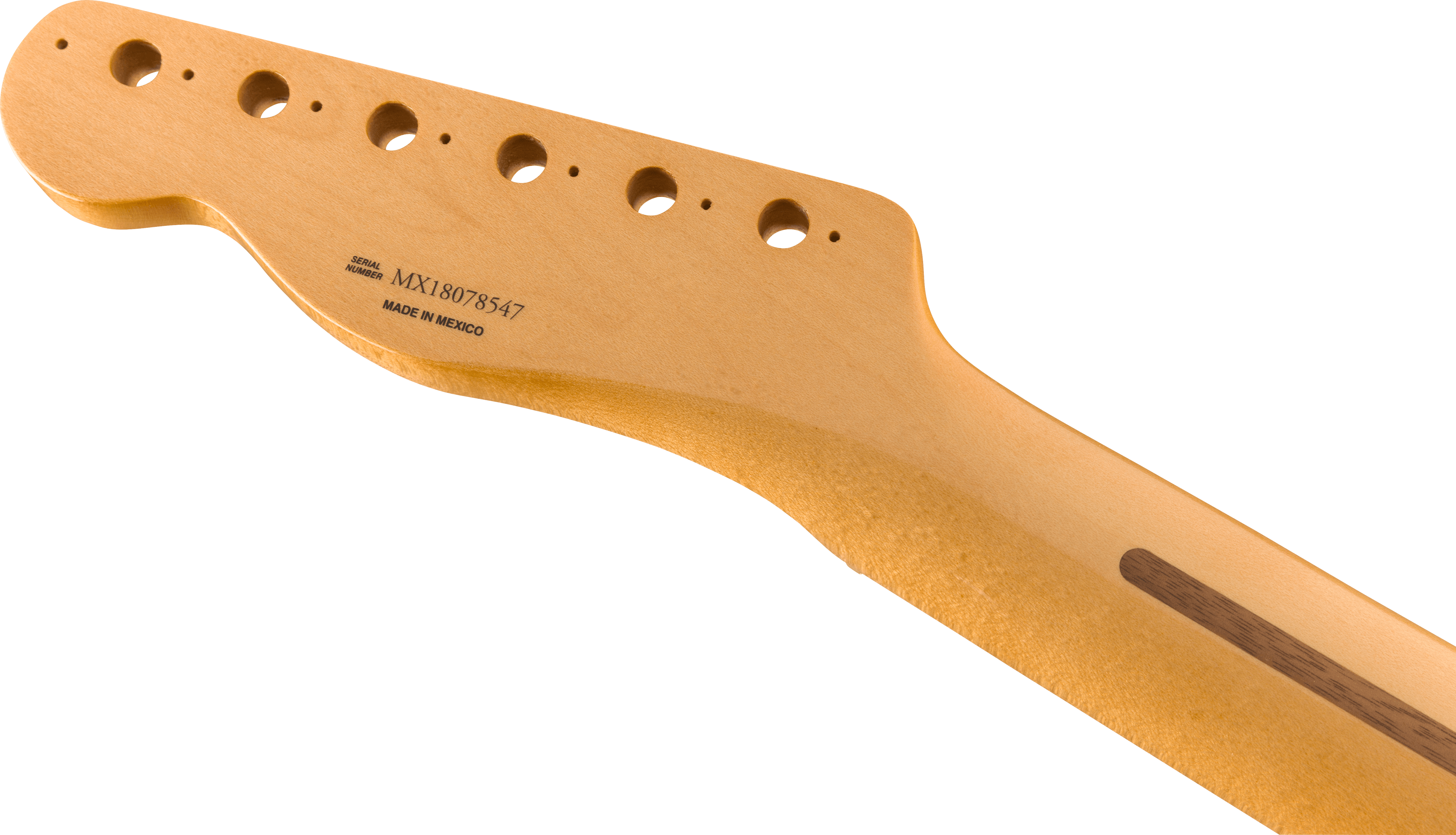 Fender Fender® 1951 Telecaster® Neck, Fat "U" Shape, Narrow Tall Frets, 9.5", Maple