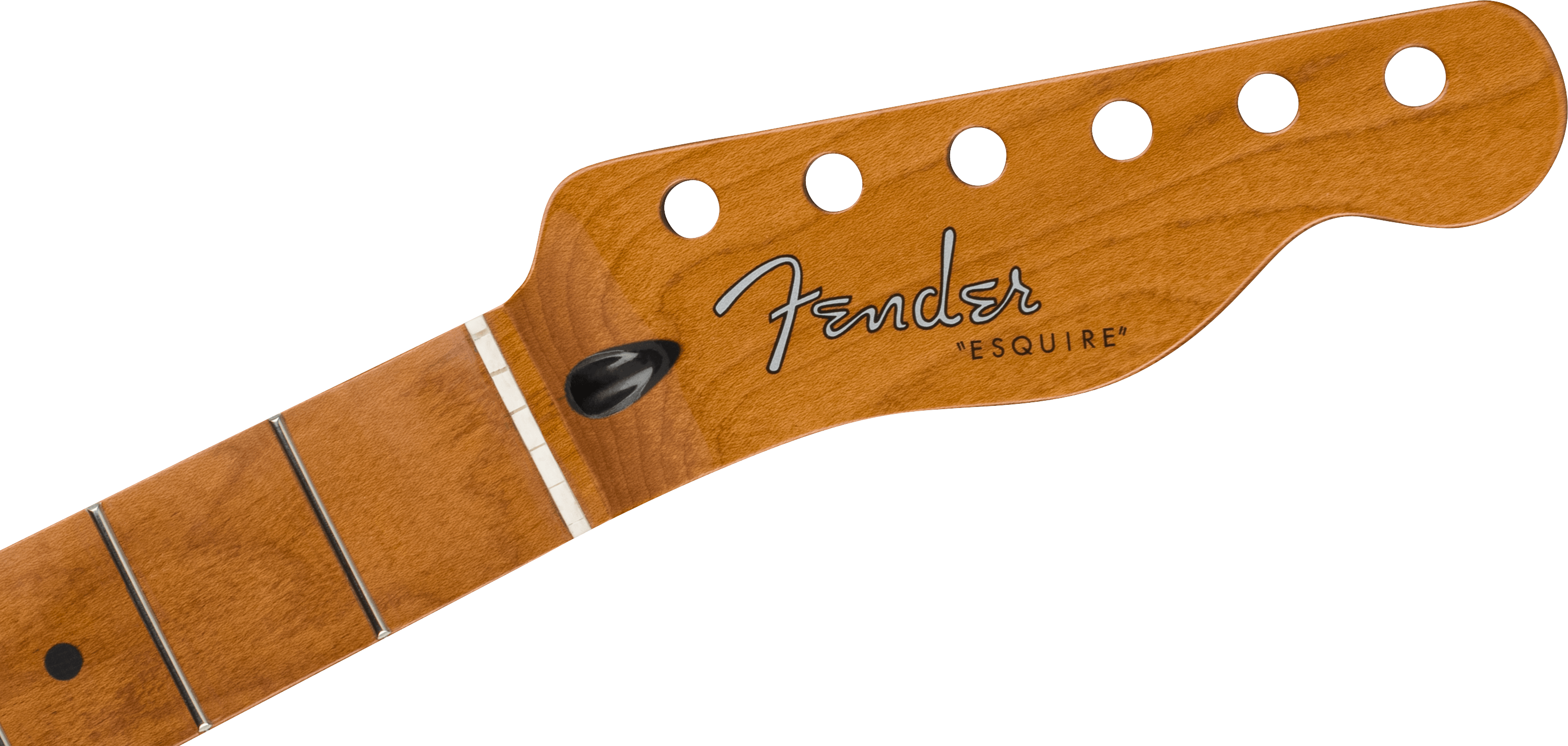 Fender 50's Modified Esquire Neck, 22 Narrow Tall Frets, 9.5", U Shape, Roasted Maple