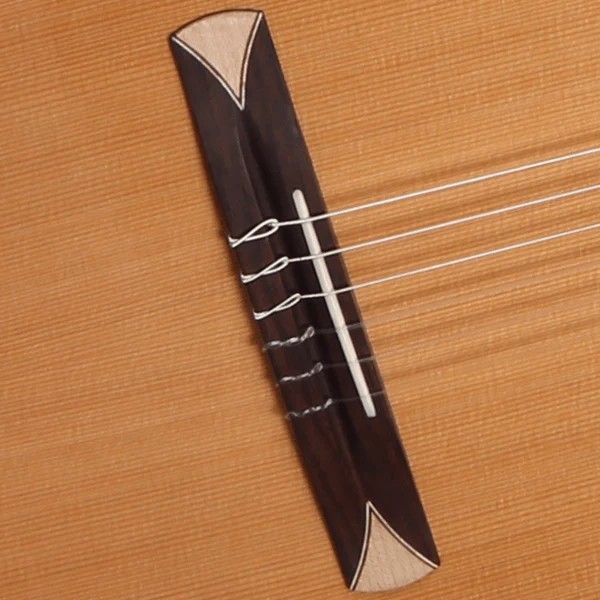 ALHAMBRA CROSSOVER CS-1 CW E1 - Chitarra Ibrida Cutaway