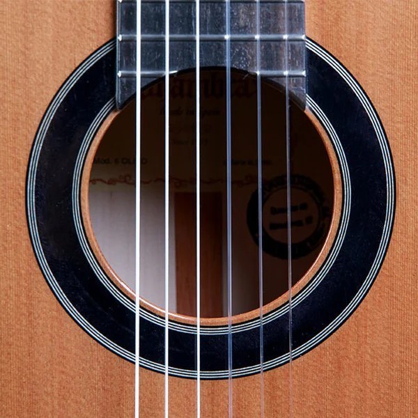 ALHAMBRA 6 OLIVO - Chitarra Classica in Legno di Olivo