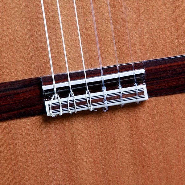 ALHAMBRA 6 OLIVO - Chitarra Classica in Legno di Olivo