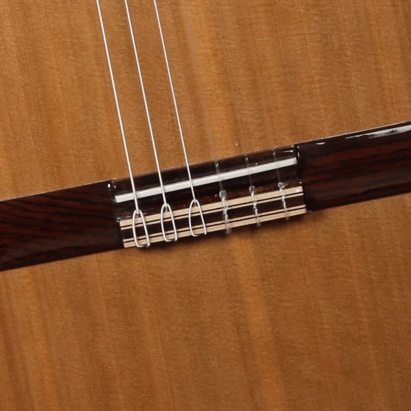 ALHAMBRA IBERIA ZIRICOTE - Chitarra Classica Edizione Speciale