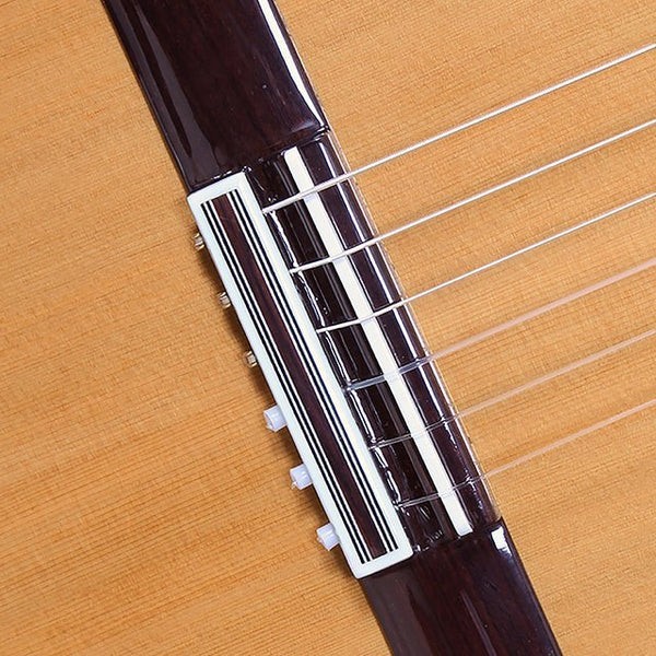 ALHAMBRA IBERIA ZIRICOTE CTW E8 - Chitarra Classica Cutaway Speciale
