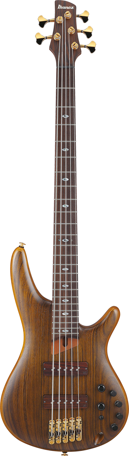 Ibanez SR5505MHF IBA EL BASS W/CASE 5ST