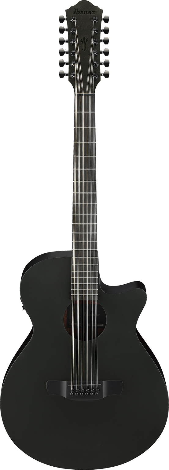 Ibanez AEG1221BOT IBA EL AC GTR 12ST