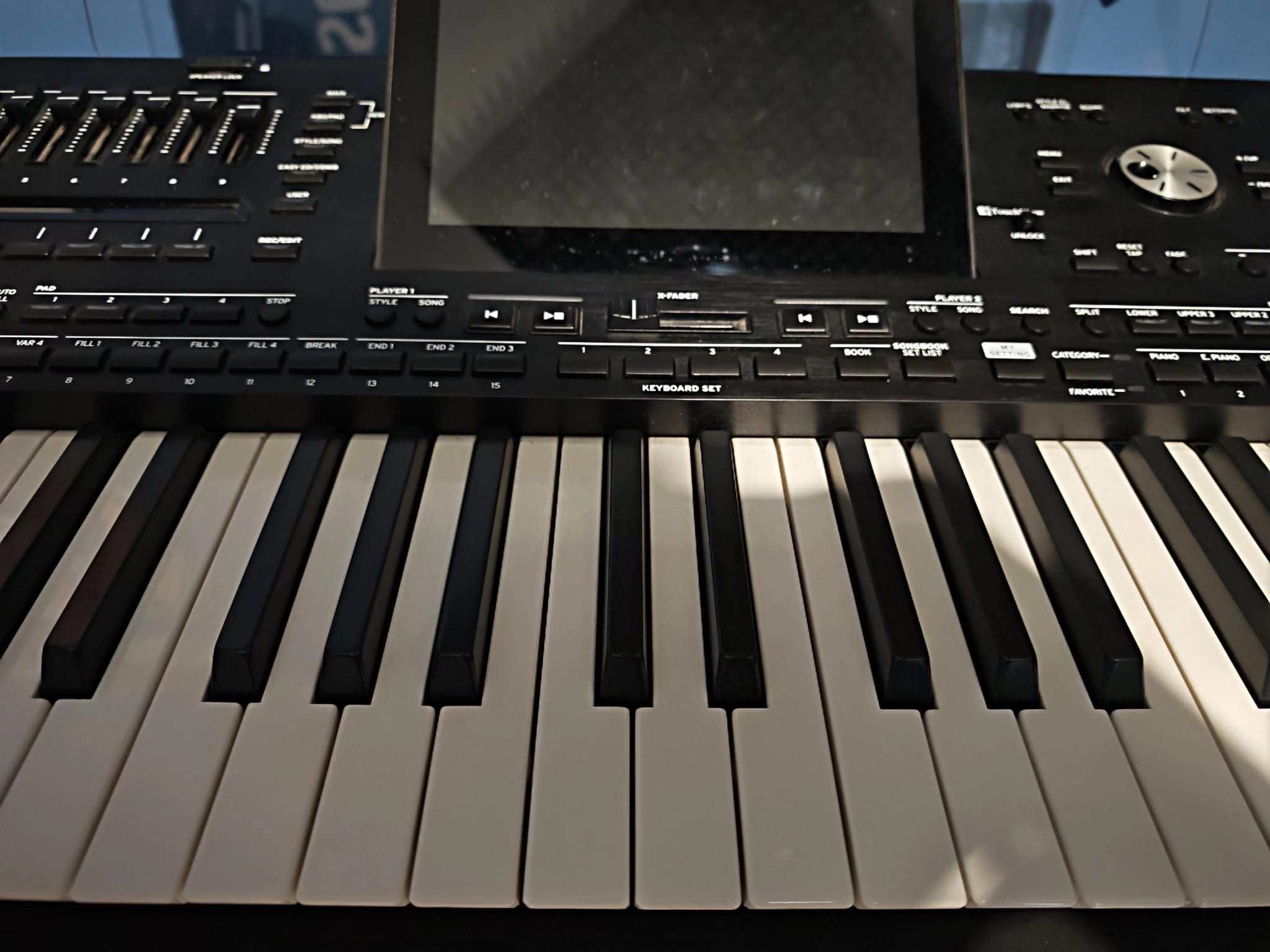 Korg Pa5X 61 Tasti - usata