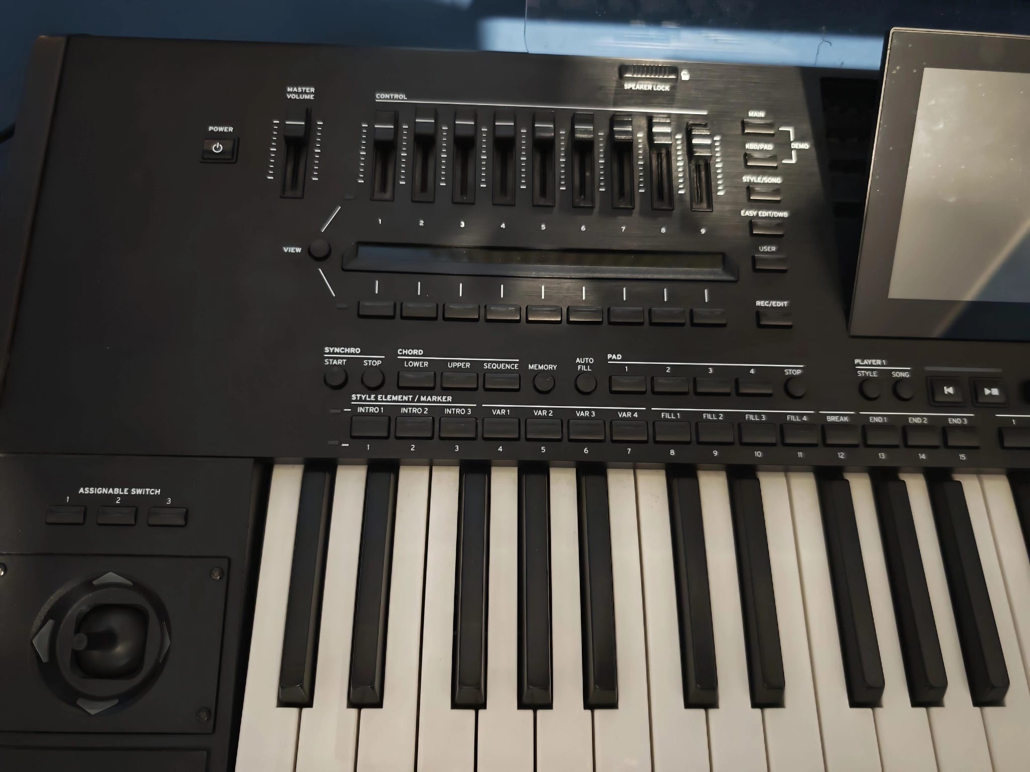 Korg Pa5X 61 Tasti - usata