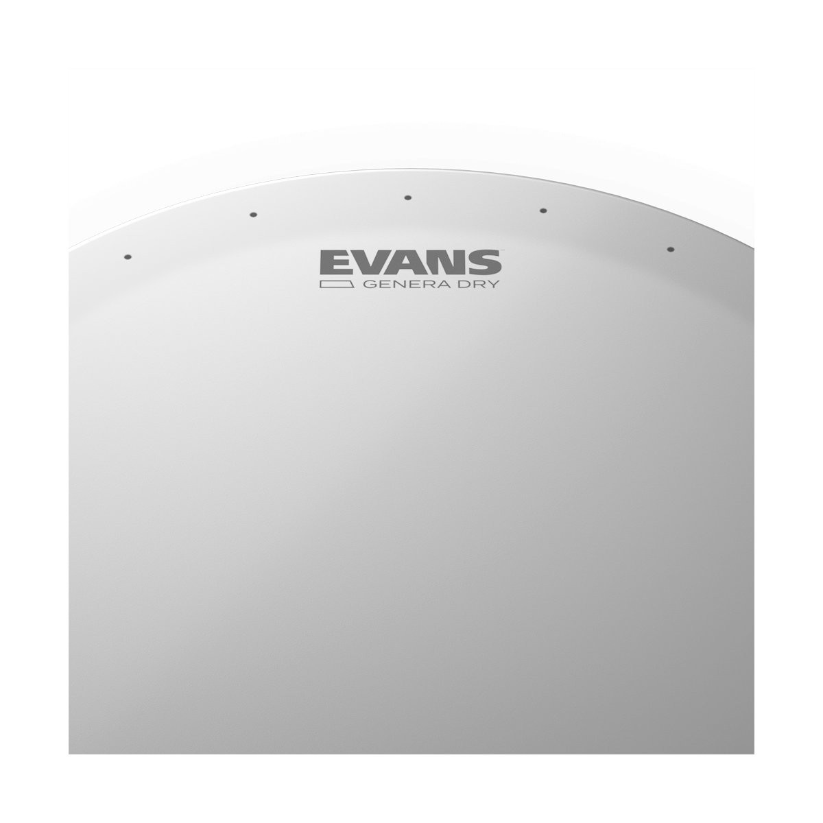 EVANS B14DRY Genera Dry Sabbiata 14" - Pelle per Rullante con Fori di Ventilazione