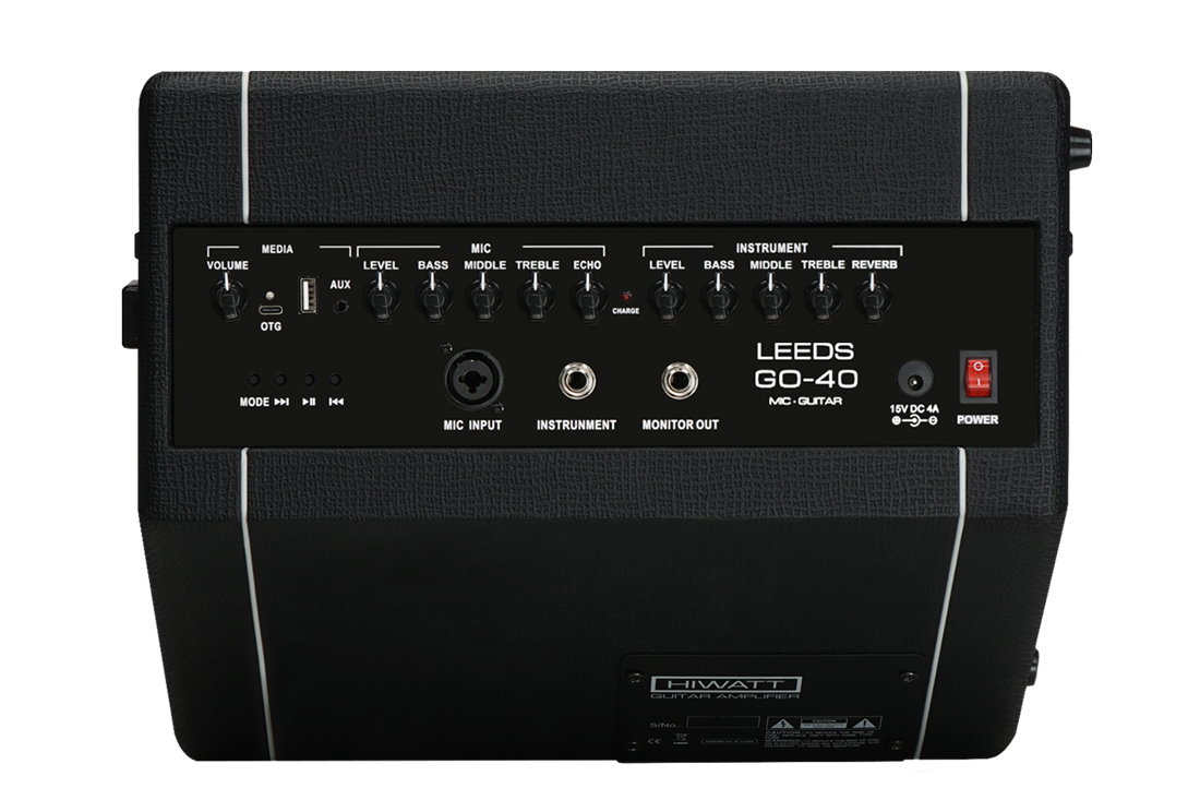 Leeds Go40 Combo per chitarra acustica 1x8 40 W