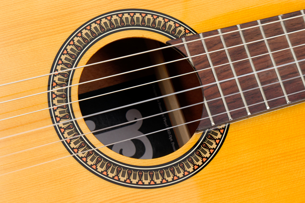Pleyel Etude P100 Chitarra Classica 4/4