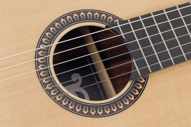 Pleyel Expression P800 Chitarra Classica 4/4
