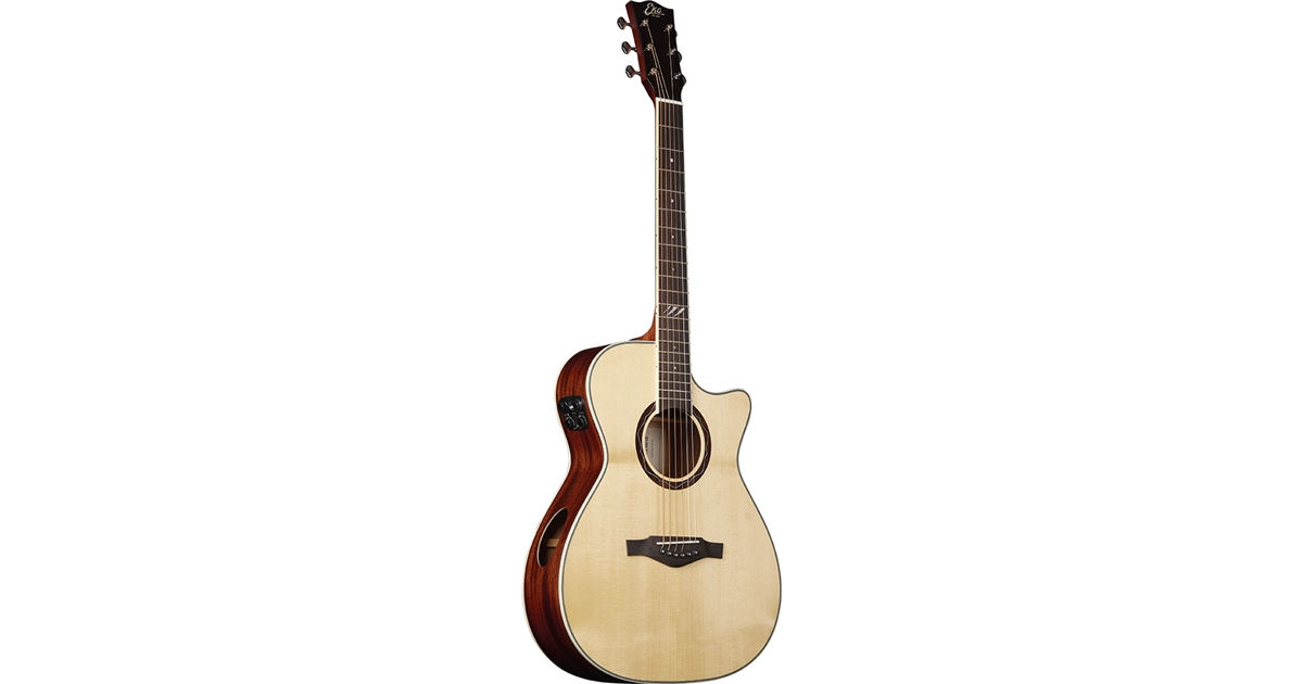 Eko Guitars Tri A300ce