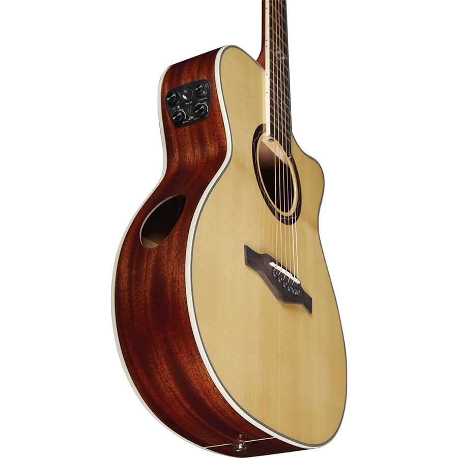 Eko Guitars Tri A300ce