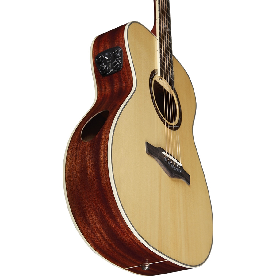 Eko Guitars Tri A300e