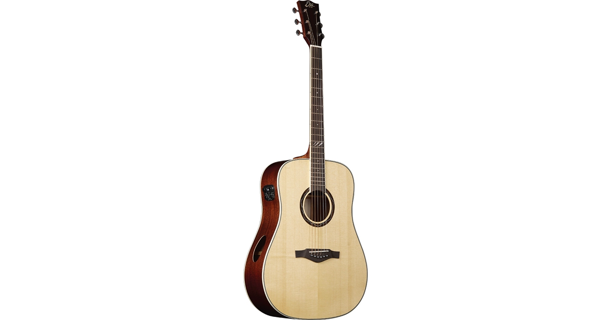 Eko Guitars Tri D300e