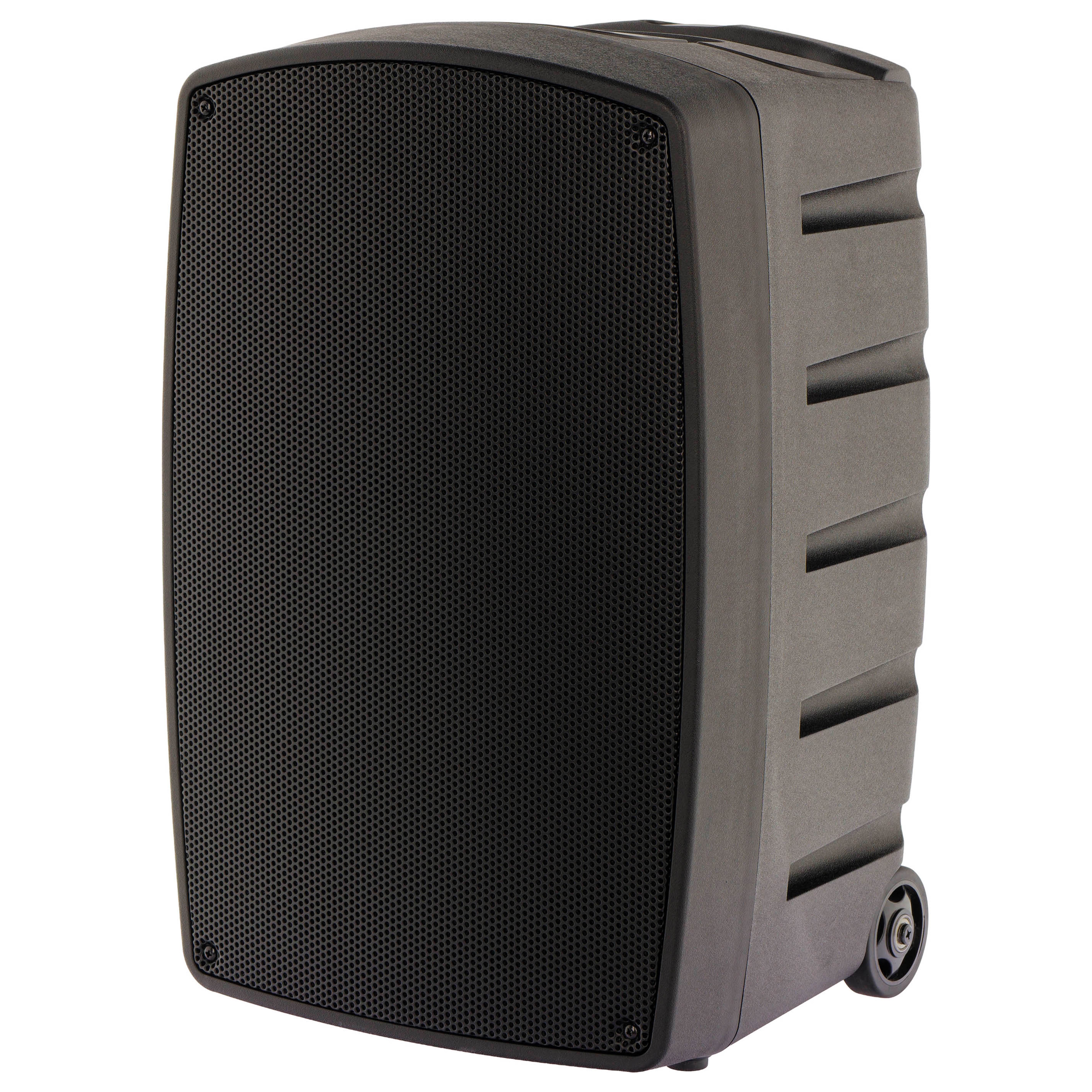 Algam Audio TR12-BT Altoparlante Portatile a Batteria con 2 Microfoni Wireless e Bluetooth