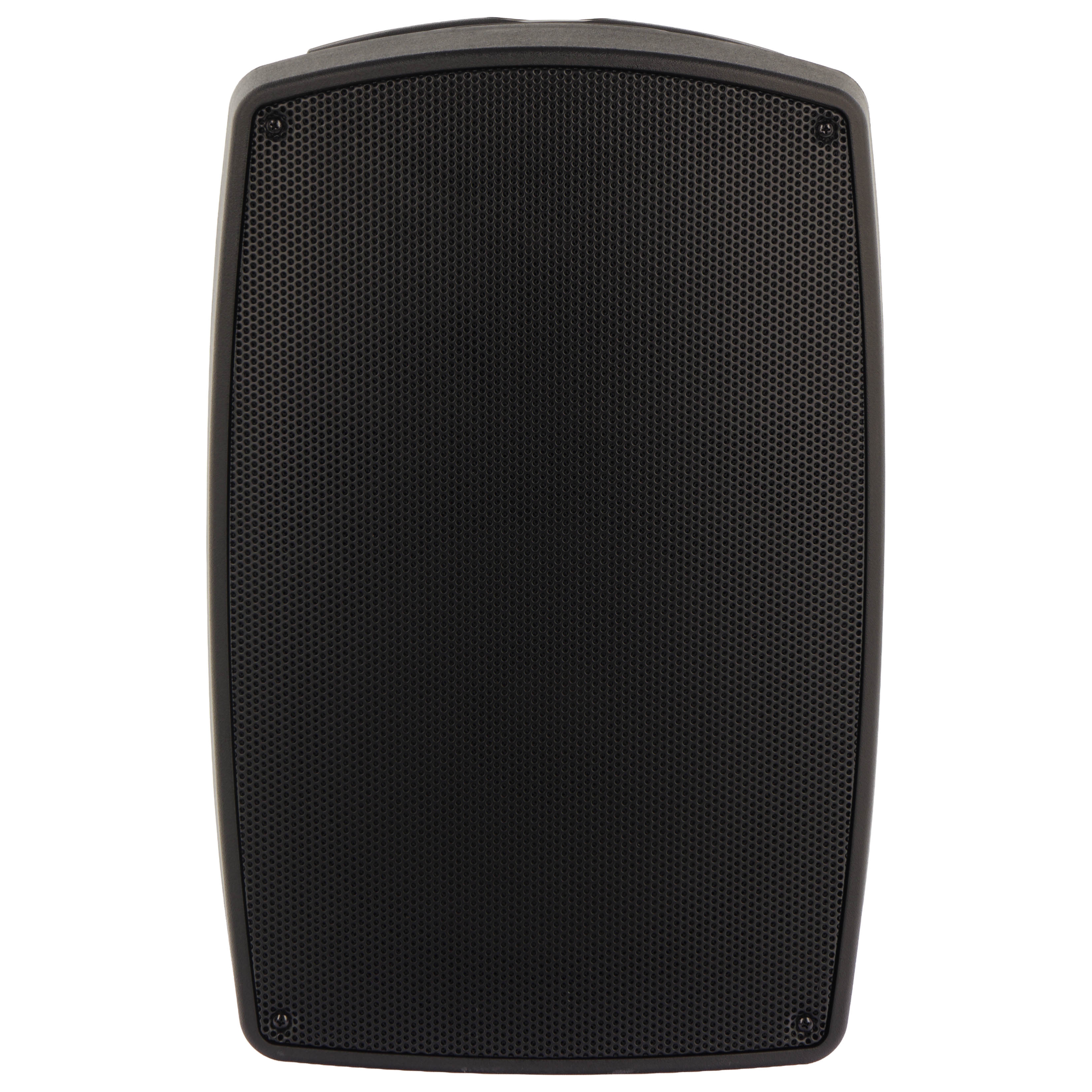Algam Audio TR12-BT Altoparlante Portatile a Batteria con 2 Microfoni Wireless e Bluetooth