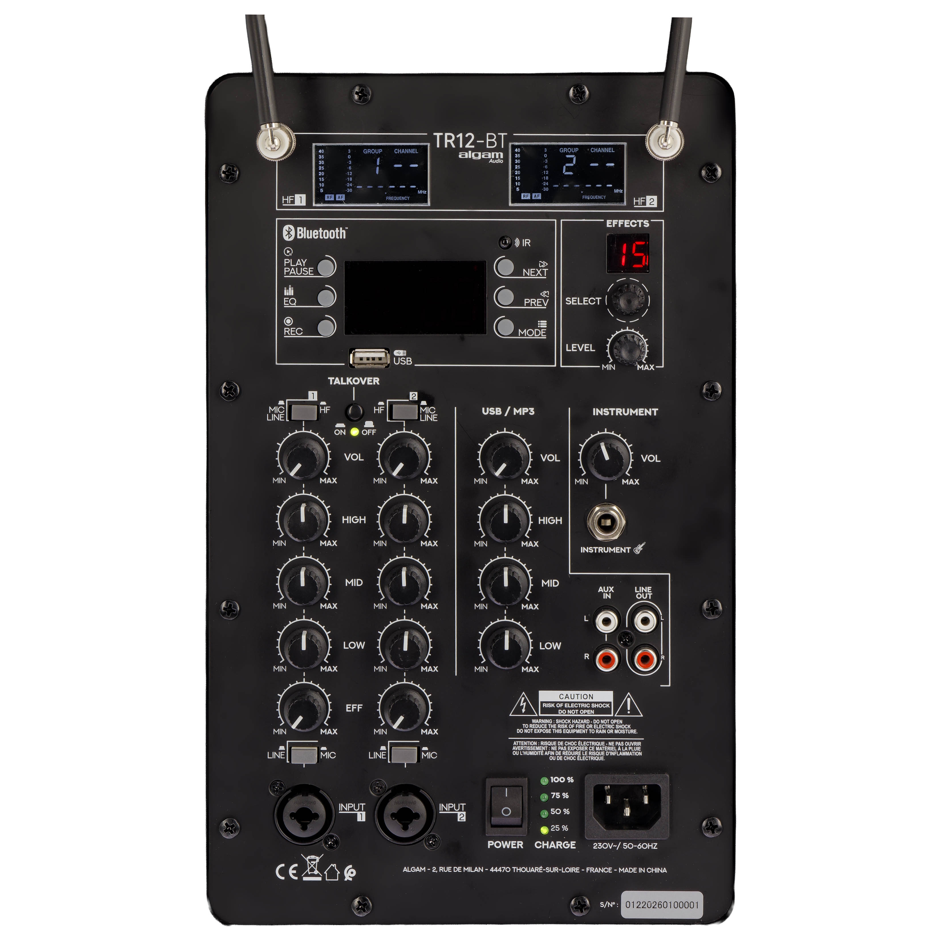 Algam Audio TR12-BT Altoparlante Portatile a Batteria con 2 Microfoni Wireless e Bluetooth