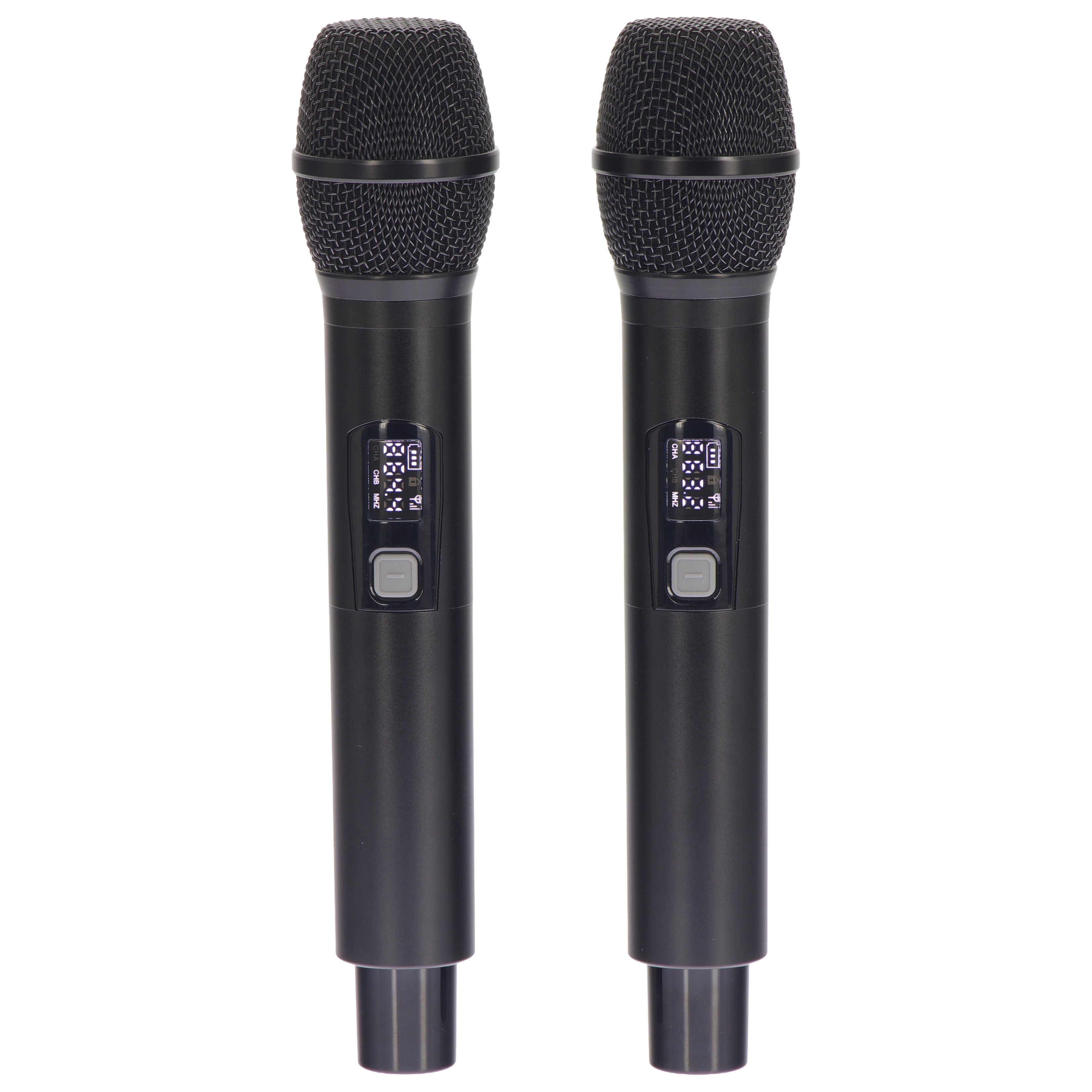 Algam Audio TR12-BT Altoparlante Portatile a Batteria con 2 Microfoni Wireless e Bluetooth