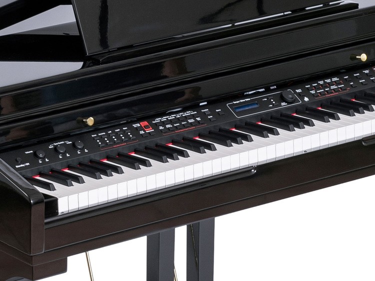 ORLA Grand 500 Black - Pianoforte Digitale a Coda 88 Tasti