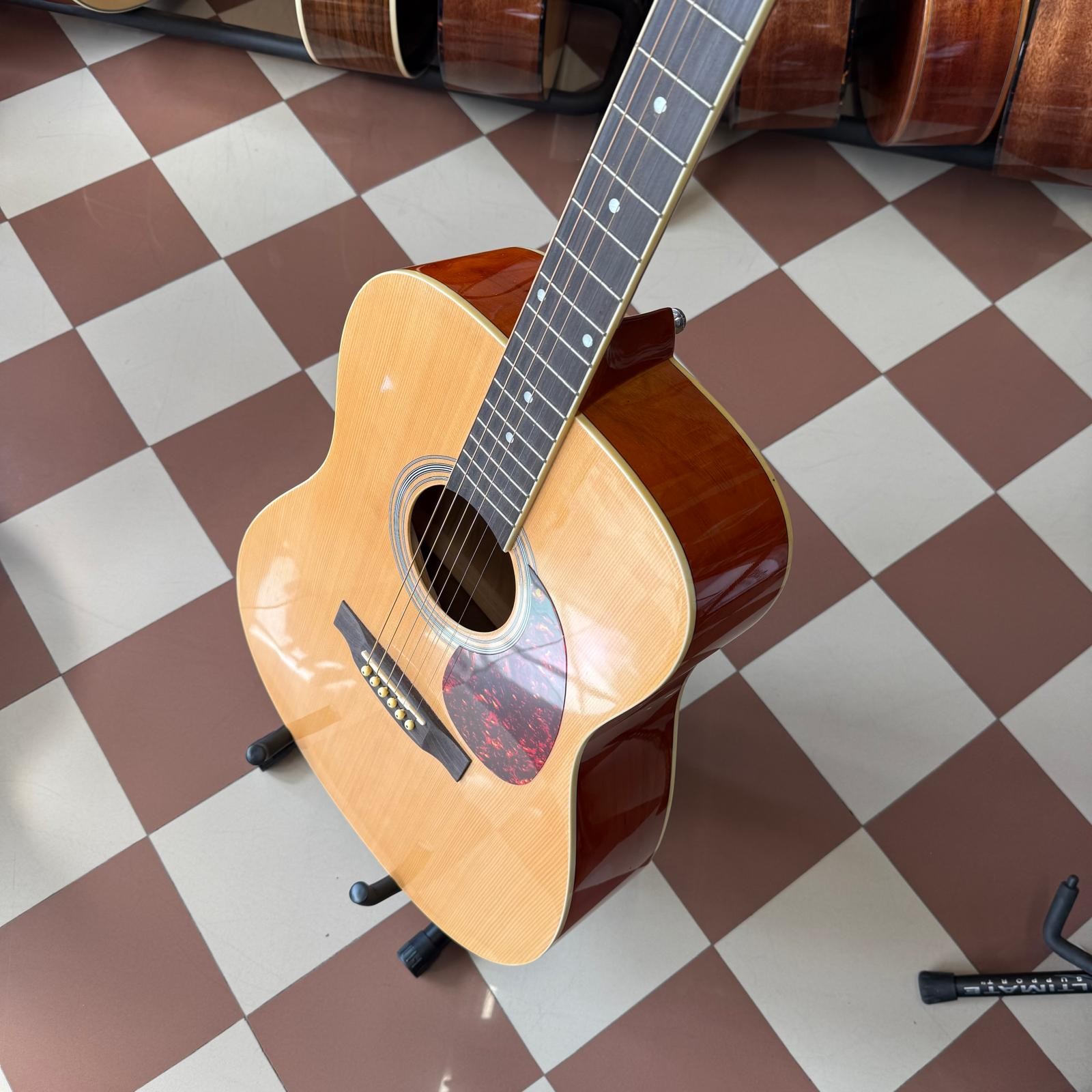 VGS D-10 Natural Usata - Chitarra Acustica Dreadnought - borsa