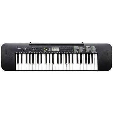 Casio CTK 240 tastiera arranger 49 tasti - 4 ottave