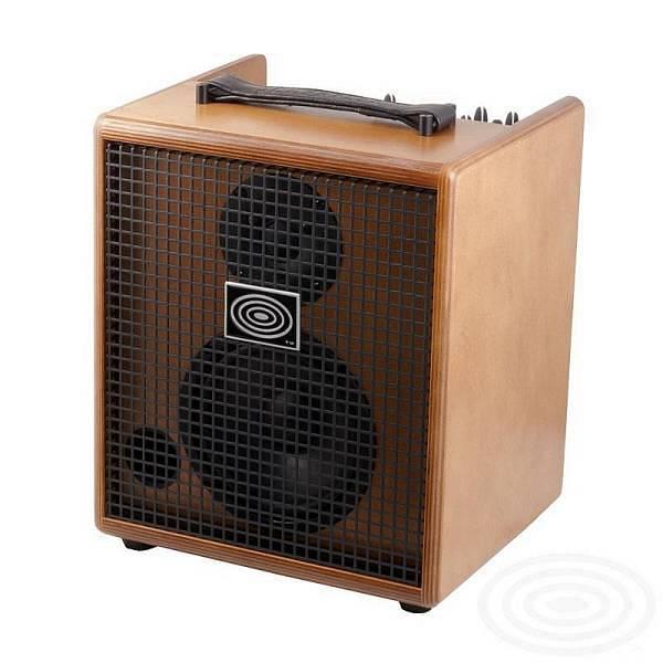 SR Technology DAVID CLASSIC wood - amplificatore per strumenti