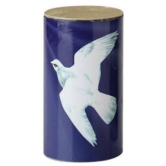 Remo Praise shakers - dove - SR-0204-18