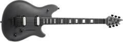 EVH Wolfgang USA EB Silver