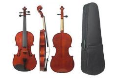 DAM MV 012W 4/4 - violino di qualità con astuccio e archetto