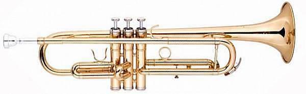 EXTREME JBTR-01-GL TROMBA IN SIB CORPO IN OTTONE & FINITURA ORO LACCATO -  SET COMPLETO