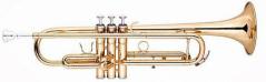 EXTREME JBTR-01-GL TROMBA IN SIB CORPO IN OTTONE & FINITURA ORO LACCATO -  SET COMPLETO