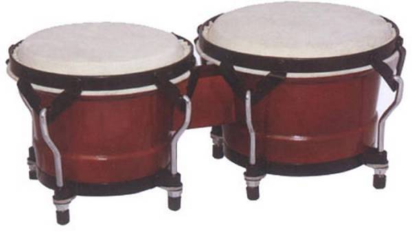 Extreme BG-105 BONGO NATURAL IN LEGNO PELLE NATURALE