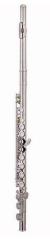 Extreme  JBFL-16-HS FLAUTO TRAVERSO 16 FORI IN DO IN CUPRONICKEL PLACCATO