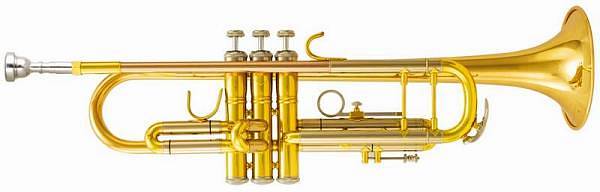 Extreme JBTR410L TROMBA IN SIB RAME OTTONE NIKEL + CUSTODIA